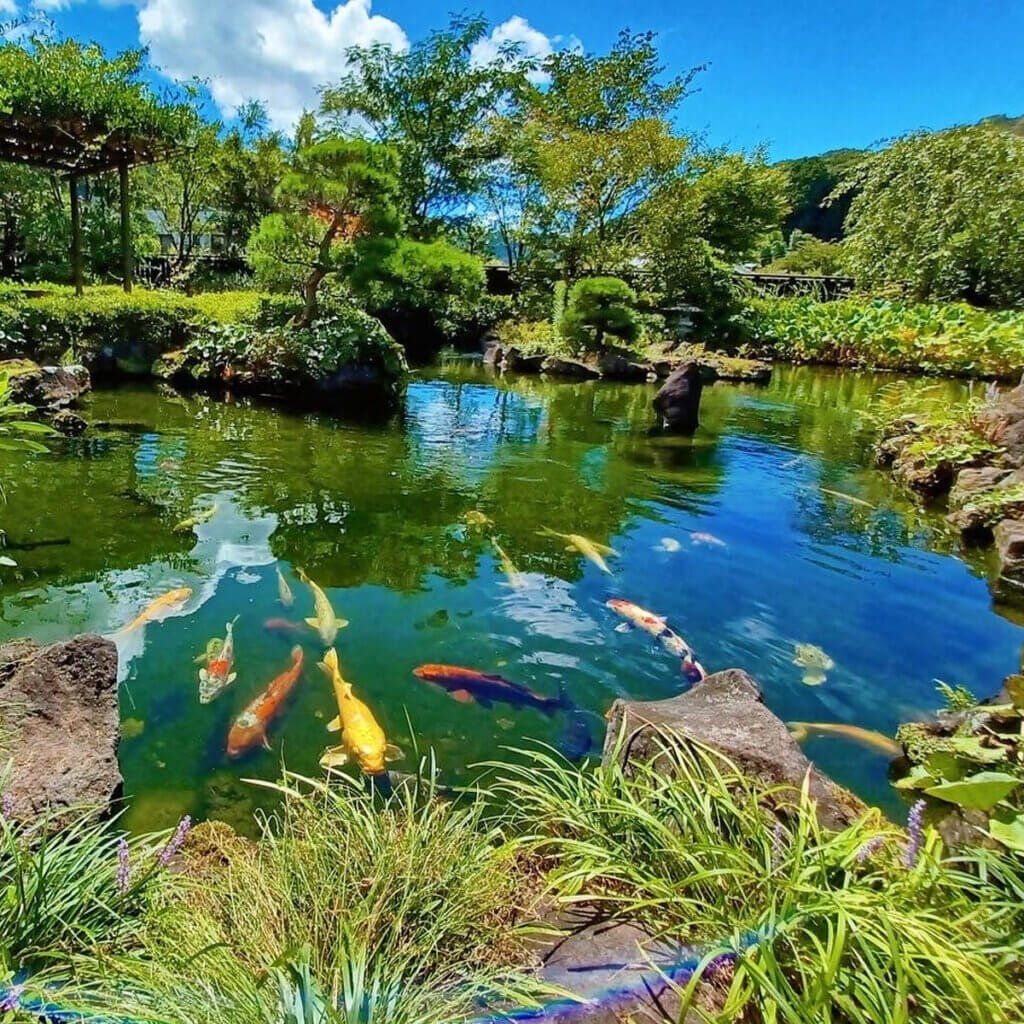 Jardín Japonés  Takaokomagino, otro de los lugares que se puede visitar gratis en Tokio